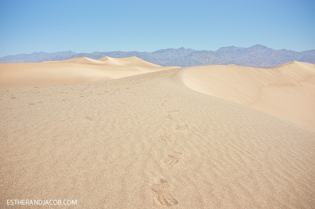 death valley photos. mesquite flat dunes death valley California. death valley park. visit death valley ca. death vally