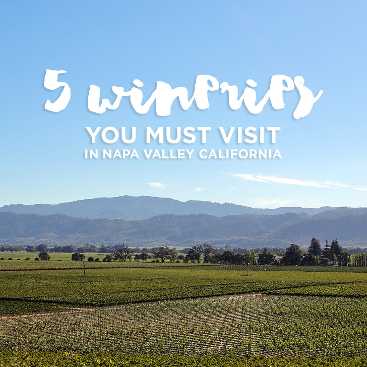 You are currently viewing Best Wineries in Napa Valley CA You Must Visit