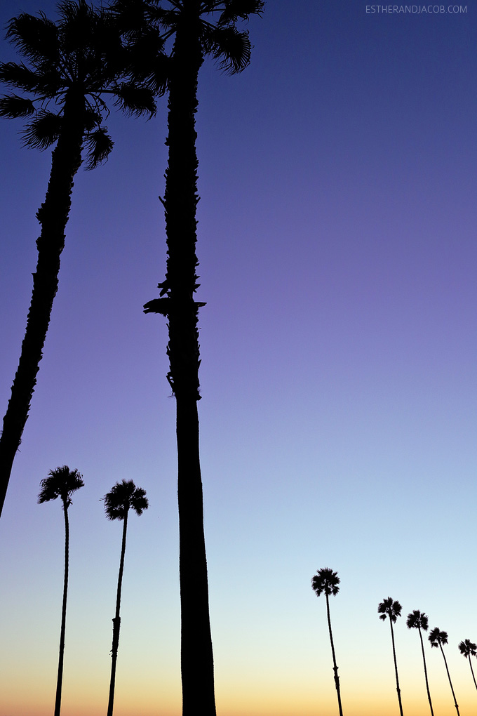 Sunset Silhouette - Zuma Beach, Malibu, California