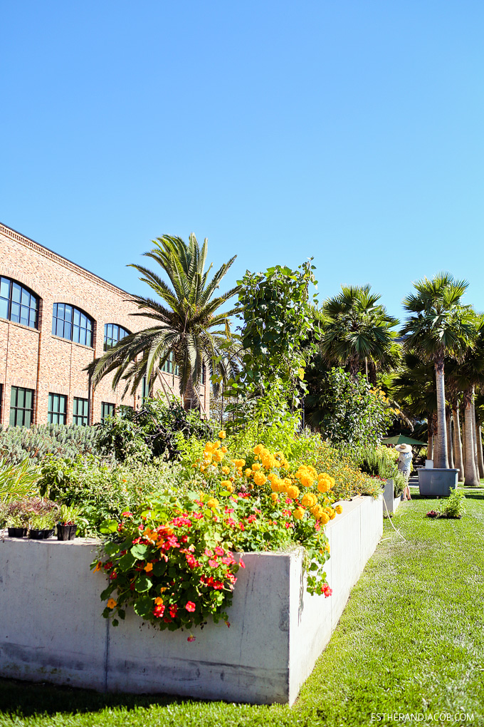 A community garden on the Pixar campus. real life monster's university campus in real life. our visit at pixar. pixar animation studios. pixar animation studios tour. pixar animation studios tours. pixar animation. pixar studios. pixar emeryville.