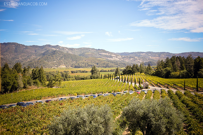 Napa Valley Wine Tasting | Castello di Amorosa Winery.