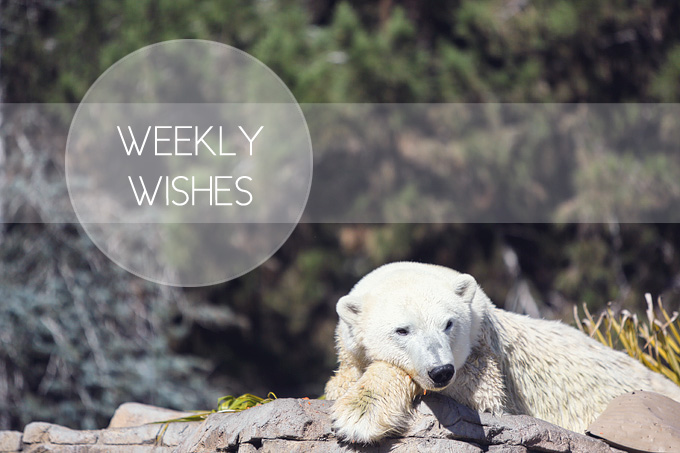 You are currently viewing Weekly Wishes = Weekly Goals