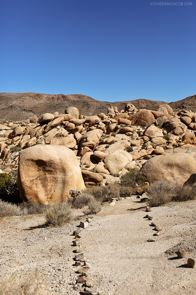 nature trails at joshua tree national california. joshua tree national park hiking. joshua tree trails.