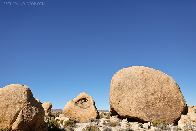 joshua tree national california. joshua tree national park hiking. joshua tree park nature trails.