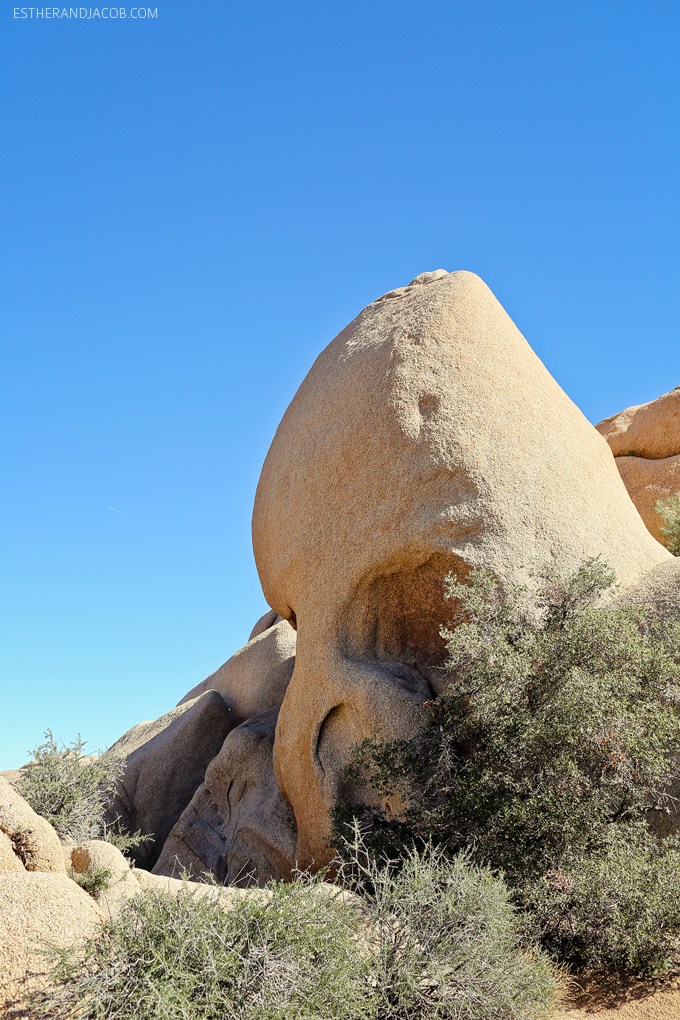 You are currently viewing Skull Rock Joshua Tree NP