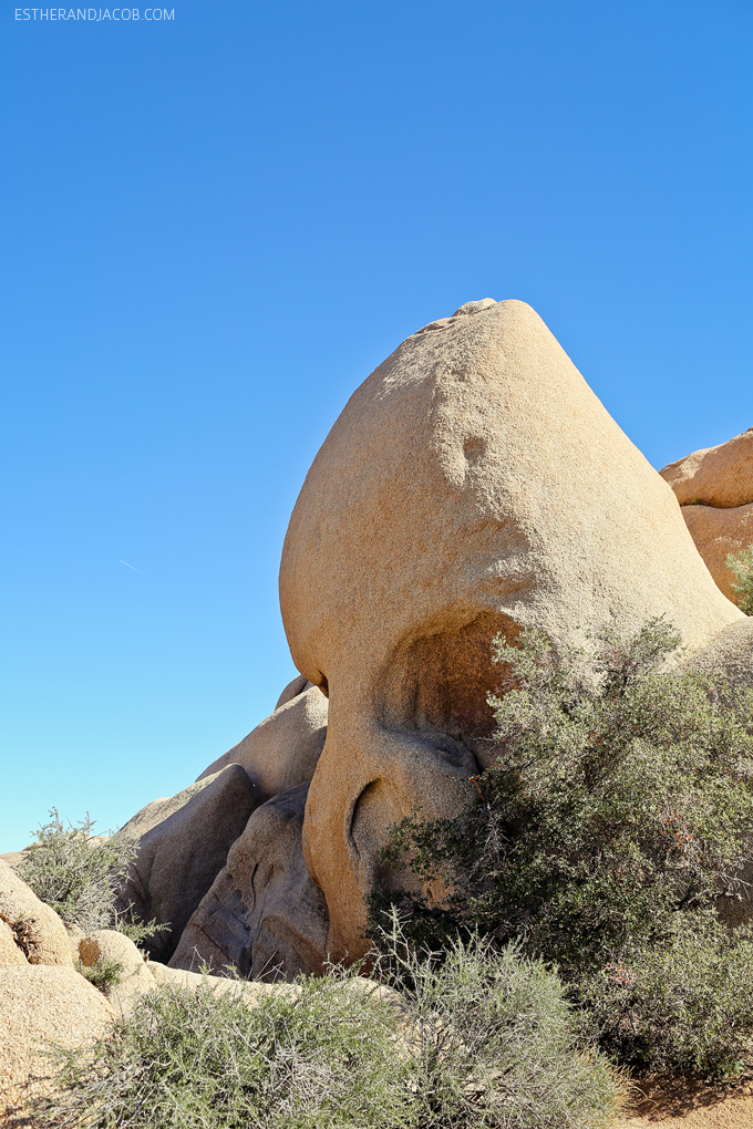 skull rock joshua tree np. joshua tree california. joshua tree national park california. joshua tree park. the great outdoors.