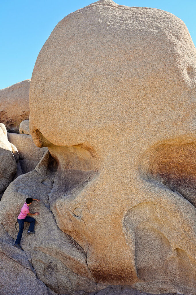 Does it look like a skull to you? Skull Rock Joshua Tree National Park CA USA // localadventurer.com