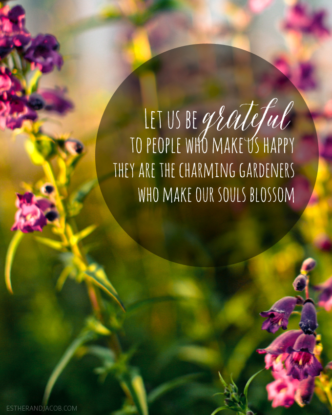 gratitude quotes. gratitude quote of the week. quotes on gratitude. on gratitude. practicing gratitude. having an attitude of gratitude. Foster an attitude of gratitude.