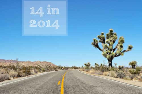 14 in 2014 | New Years Resolutions