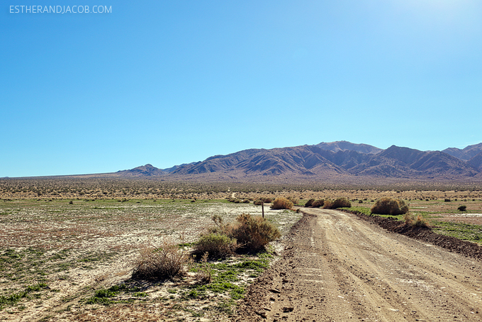 off roading in joshua tree national park. joshua tree park. joshua tree national. joshua tree park california. joshua tree photos. joshua tree nationalpark.