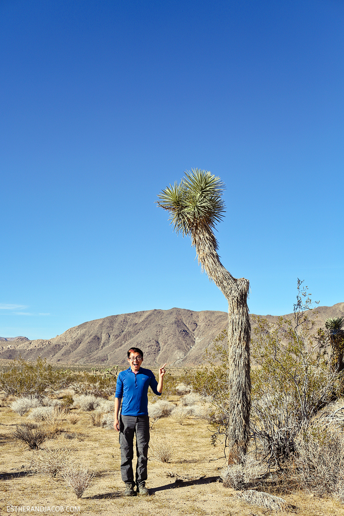 off roading in joshua tree national park. joshua tree park. joshua tree national. joshua tree park california. joshua tree photos. joshua tree nationalpark.