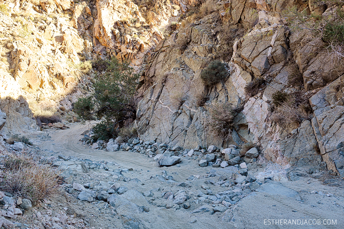 off roading in joshua tree national park. joshua tree park. joshua tree national. joshua tree park california. joshua tree photos. joshua tree nationalpark.