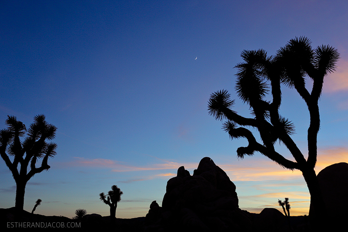 Hall of Horrors Joshua Tree NP. Picture of a joshua tree. Sunset at joshua tree photos. Joshua tree pictures. Photos of sunset at joshua tree park.