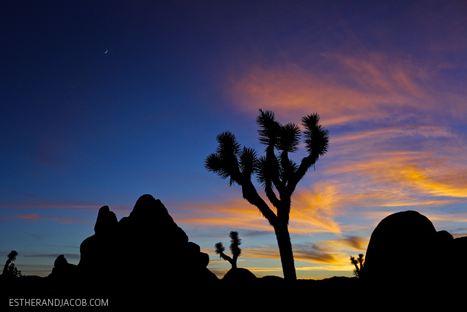 Hall of Horrors Joshua Tree NP. Picture of a joshua tree. Sunset at joshua tree photos. Joshua tree pictures. Photos of sunset at joshua tree park.