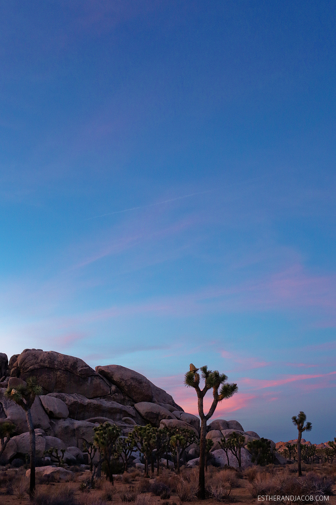 Hall of Horrors Joshua Tree NP. Picture of a joshua tree. Sunset at joshua tree photos. Joshua tree pictures. Photos of sunset at joshua tree park.