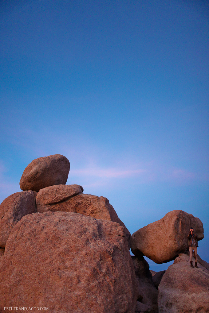 Hall of Horrors Joshua Tree NP. Picture of a joshua tree. Sunset at joshua tree photos. Joshua tree pictures. Photos of sunset at joshua tree park.