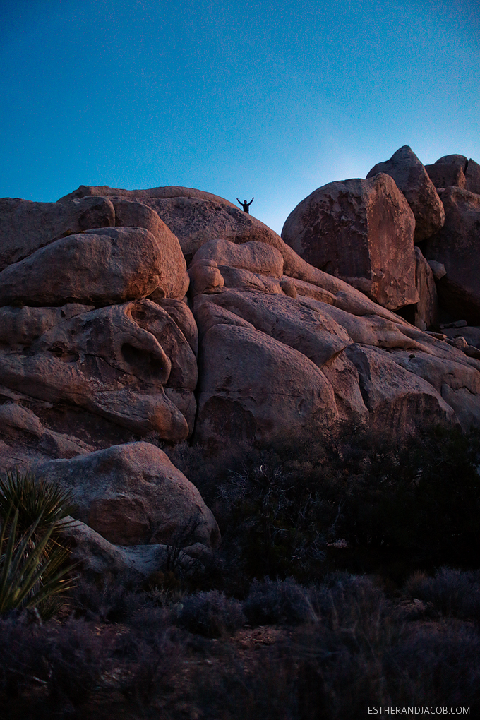 Hall of Horrors Joshua Tree NP. Picture of a joshua tree. Sunset at joshua tree photos. Joshua tree pictures. Photos of sunset at joshua tree park.