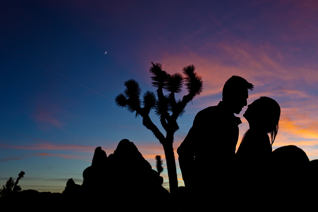 Hall of Horrors Joshua Tree CA