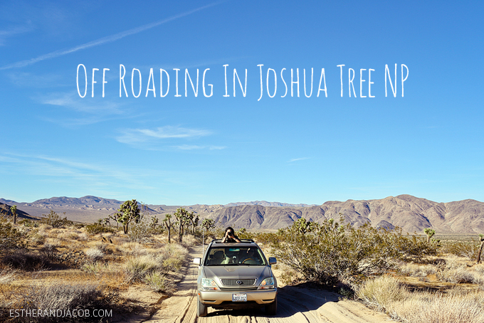 You are currently viewing Off Roading in Joshua Tree National Park