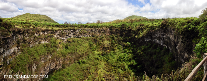 twin craters galapagos. los gemelos santa cruz island galapagos surrounded by scalesia forest. galapagos photos. hiking in galapagos. galapagos birds that are found here. Charles Darwin finches. What to do on Santa cruz island galapagos.