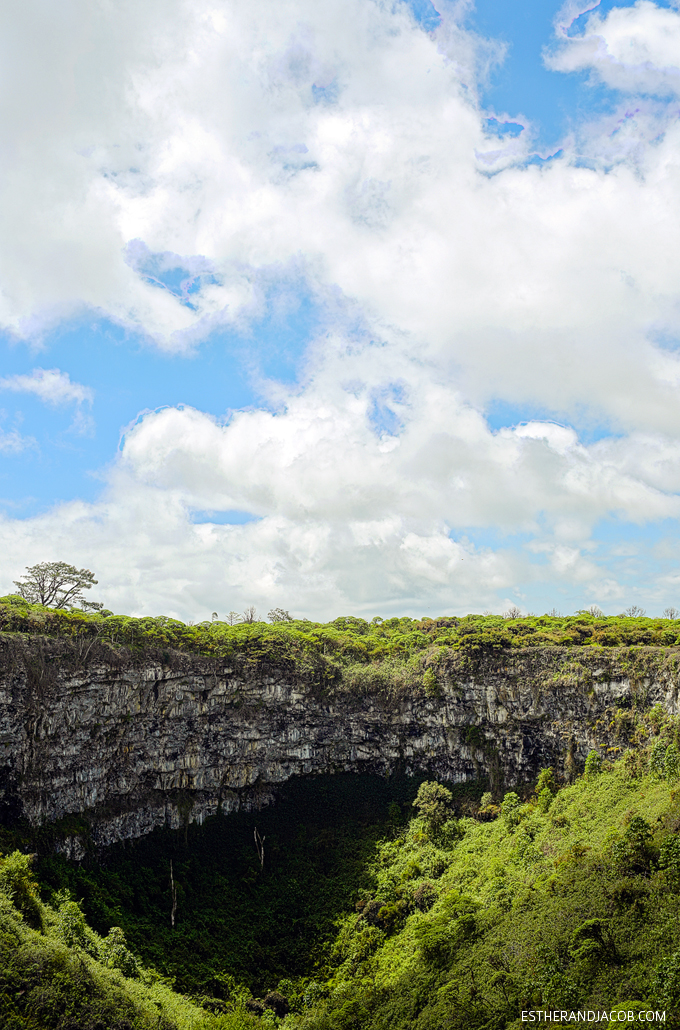 twin craters galapagos. los gemelos santa cruz island galapagos surrounded by scalesia forest. galapagos photos. hiking in galapagos. galapagos birds that are found here. Charles Darwin finches. What to see on Santa cruz island galapagos.