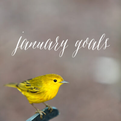 goals for january