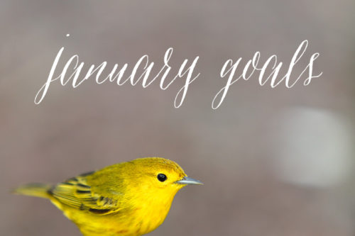 5 Monthly Goals for January