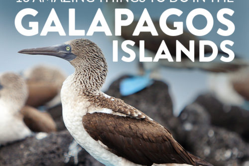 13 Things to Do in the Galapagos Islands & Tips for Your Visit