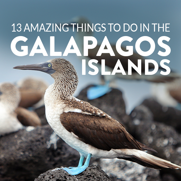 13 Things to Do in the Galapagos Islands & Tips for Your Visit