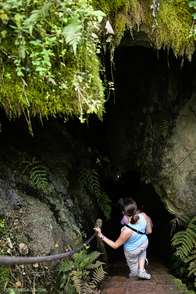 Hiking through Bellavista s Lava Tunnels in the Galapagos