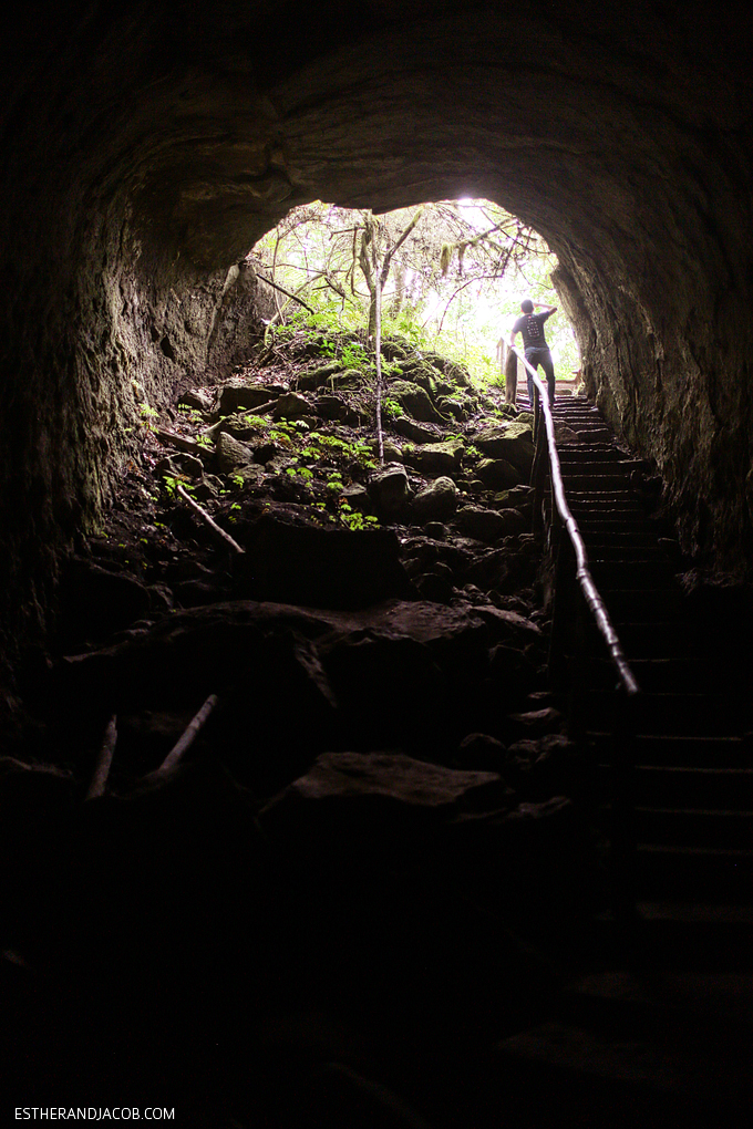 Our trek through lava tunnels in galapagos national park. Find out what is a lava tube and how are lava tubes formed. lava tunnels santa cruz galapagos.