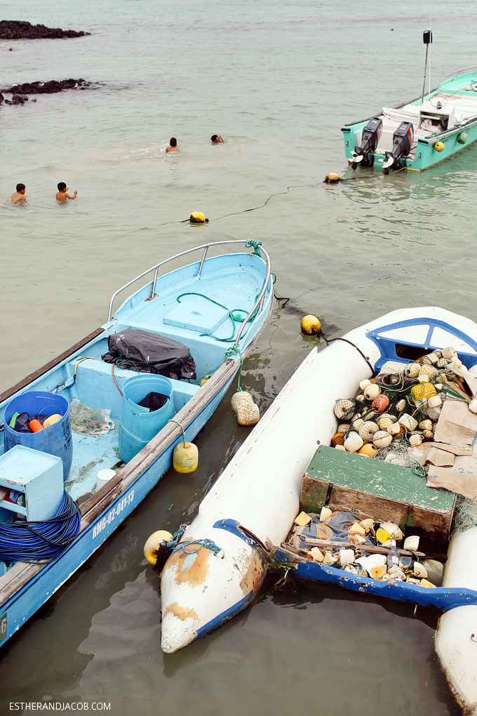 Local kids swimming near the Santa Cruz fish market in the city of Puerto Ayora.