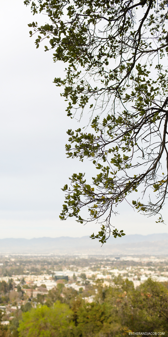 You are currently viewing Betty B Dearing Trail Hike at Coldwater Canyon Park