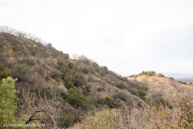 We love hiking in los angeles and the betty b dearing trail at coldwater canyon park is one of our favorite hiking trails in la. Betty Dearing Trail. 