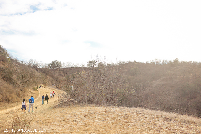 We love hiking in los angeles and the betty b dearing trail at coldwater canyon park is one of our favorite hiking trails in la. Betty Dearing Trail. 