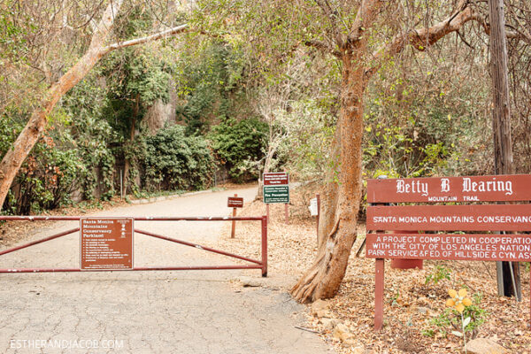 Betty B Dearing Trail Hike At Coldwater Canyon Park