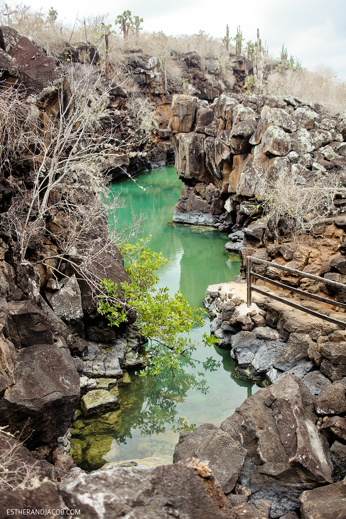 This is a photo of Canal de las Tintoreras. Shark Canal in Playa de Los Perros on Santa Cruz Island.