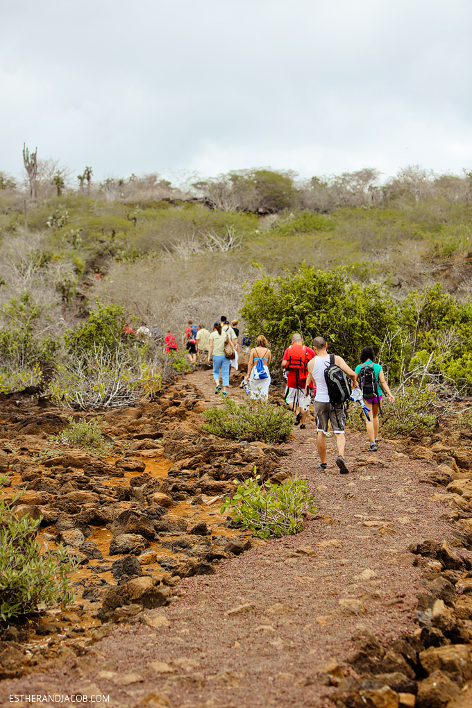 This is a photo of our hike to Las Grietas on Santa Cruz Island.