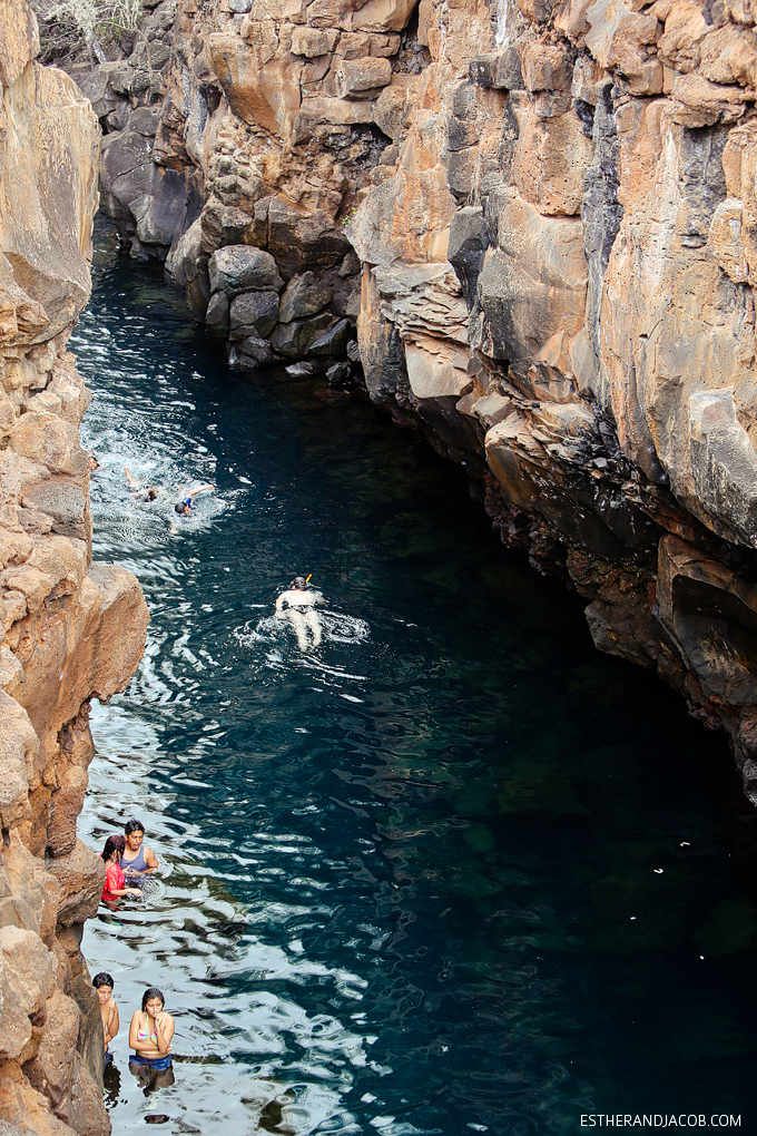 Cliff Jumping at Las Grietas Santa Cruz Galapagos Islands