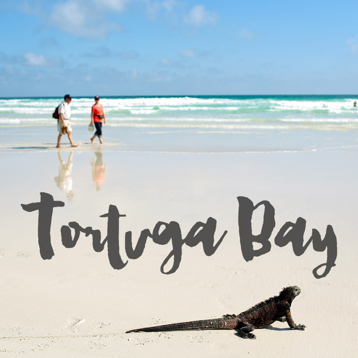 Tortuga Bay Ecuador.