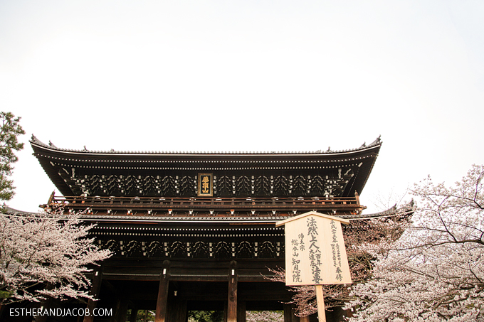 Photo of cherry blossoms japan.