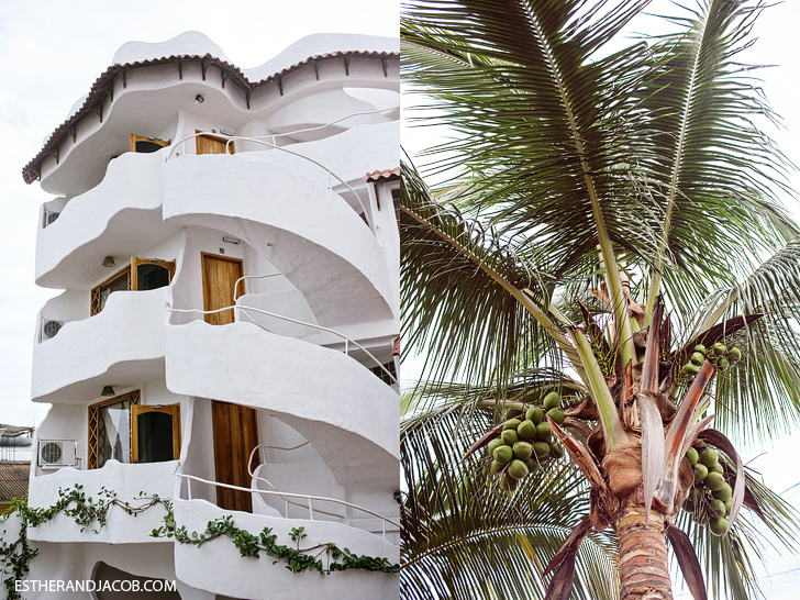 Hotel Mainao Galapagos | Puerto Ayora Santa Cruz Island.