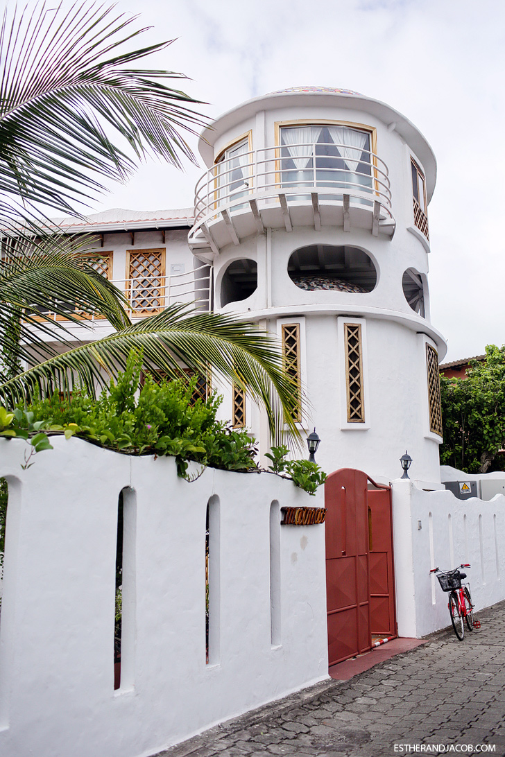 Exploring Puerto Ayora Things to Do in Santa Cruz Galapagos Island