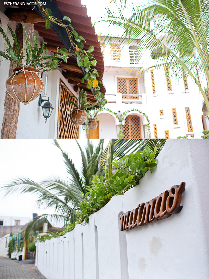 Hotel Mainao | Where to Stay in Puerto Ayora Santa Cruz Island Galapagos.