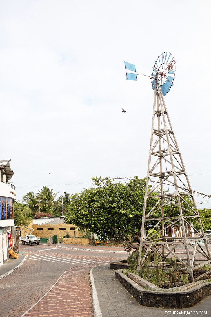 Guide to Puerto Ayora | Things to Do in Santa Cruz Island Galapagos.