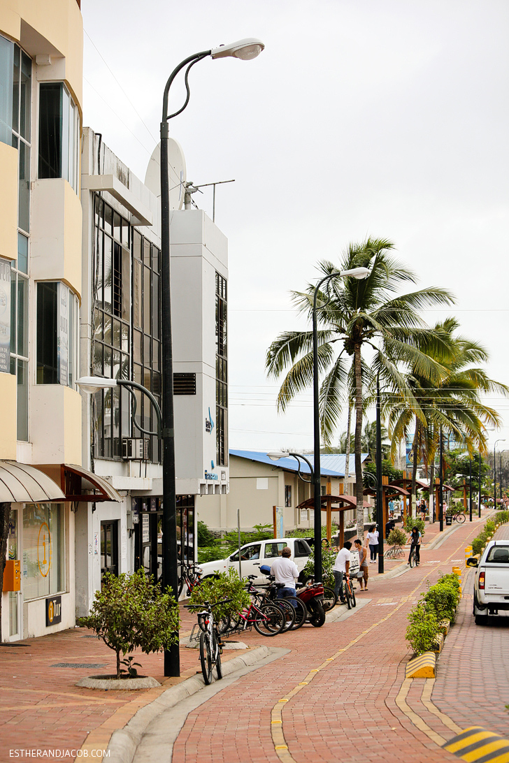 Guide to Puerto Ayora | Things to Do in Santa Cruz Island Galapagos.