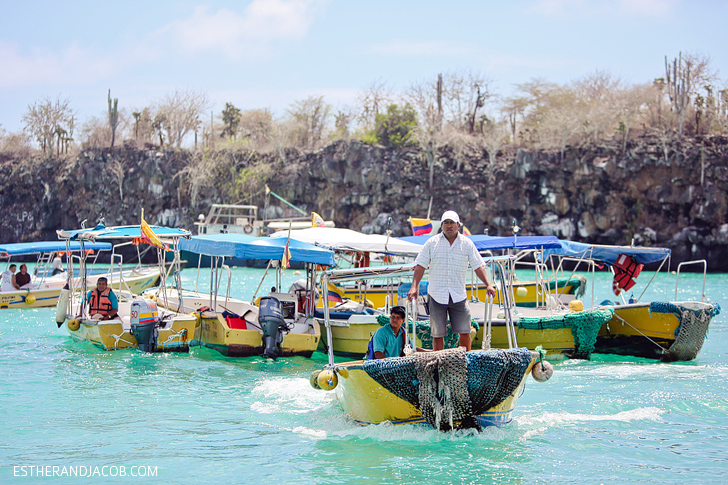 Puerto Ayora Pier | Things to Do in Santa Cruz Island Galapagos.