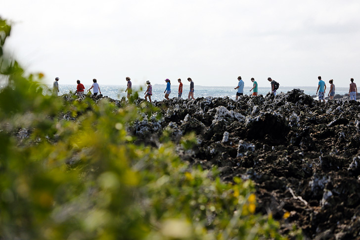 Las Tintoreras | Bay Tour of Isabela Island.