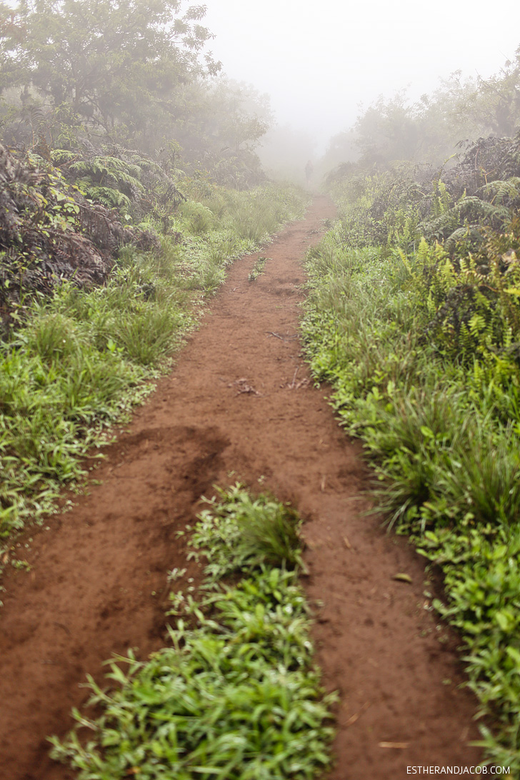 Sierra Negra Volcano Hike on Isabela Island.