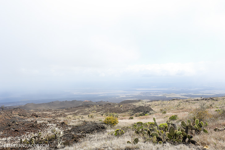 Sierra Negra Volcano Hike on Isabela Island Galapagos.